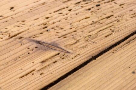 Trattamento parquet a microonde