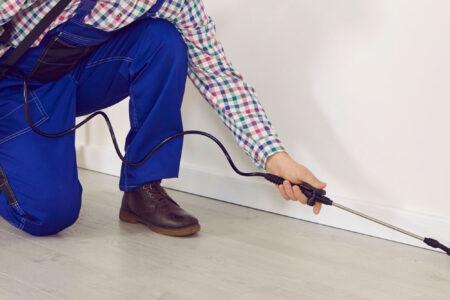 Trattamento parquet antitarlo